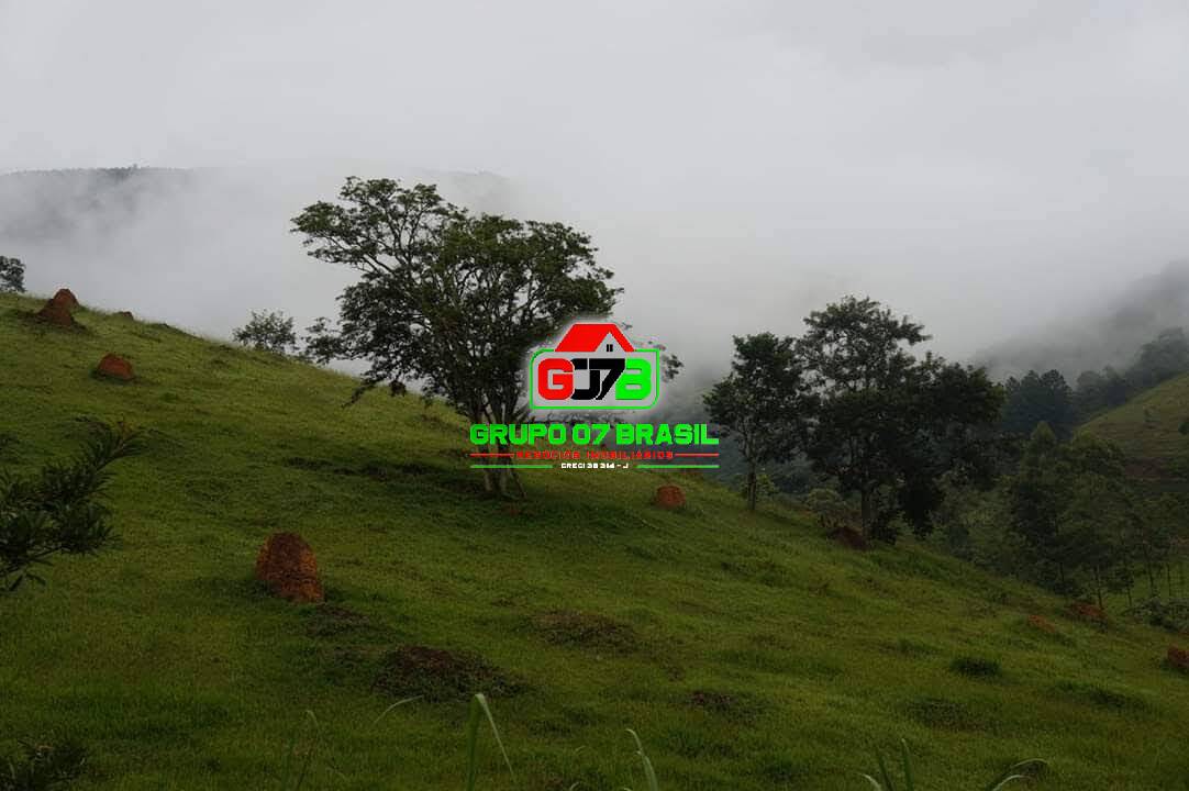 Terreno à venda, 30000m² - Foto 5