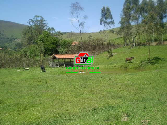 Terreno à venda, 30000m² - Foto 6