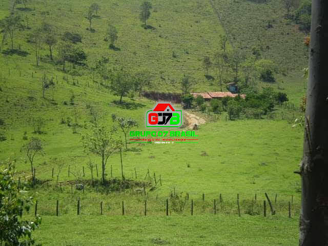 Terreno à venda, 30000m² - Foto 7