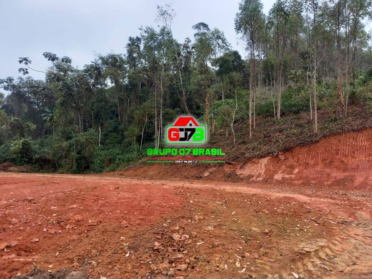 Terreno à venda, 30000m² - Foto 3