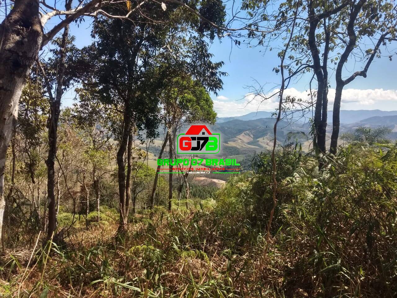 Terreno, 3 hectares - Foto 1