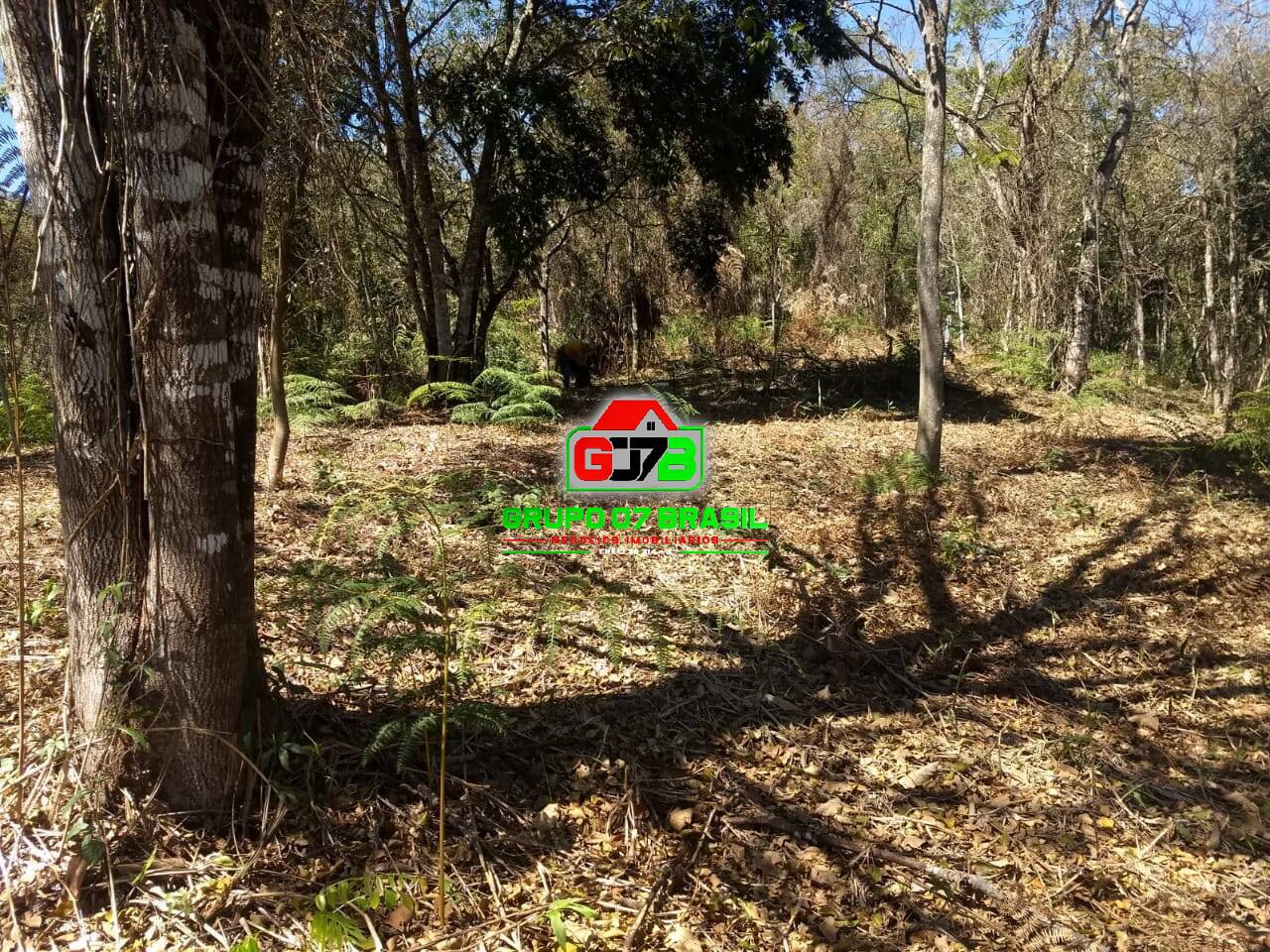 Terreno, 3 hectares - Foto 3