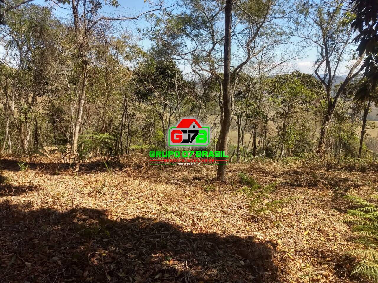 Terreno, 3 hectares - Foto 4