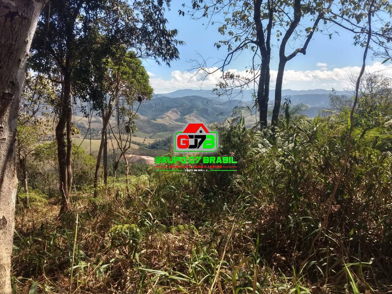 Terreno, 3 hectares - Foto 2