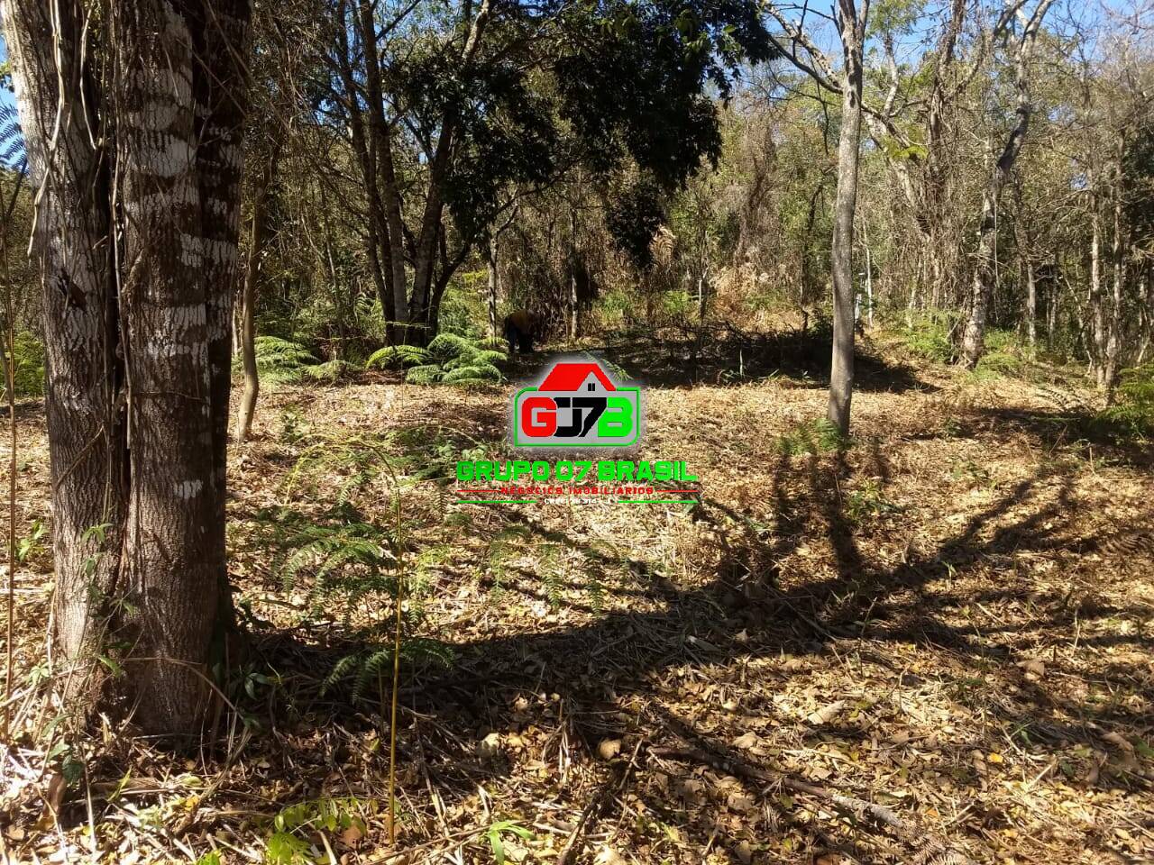 Terreno, 3 hectares - Foto 5