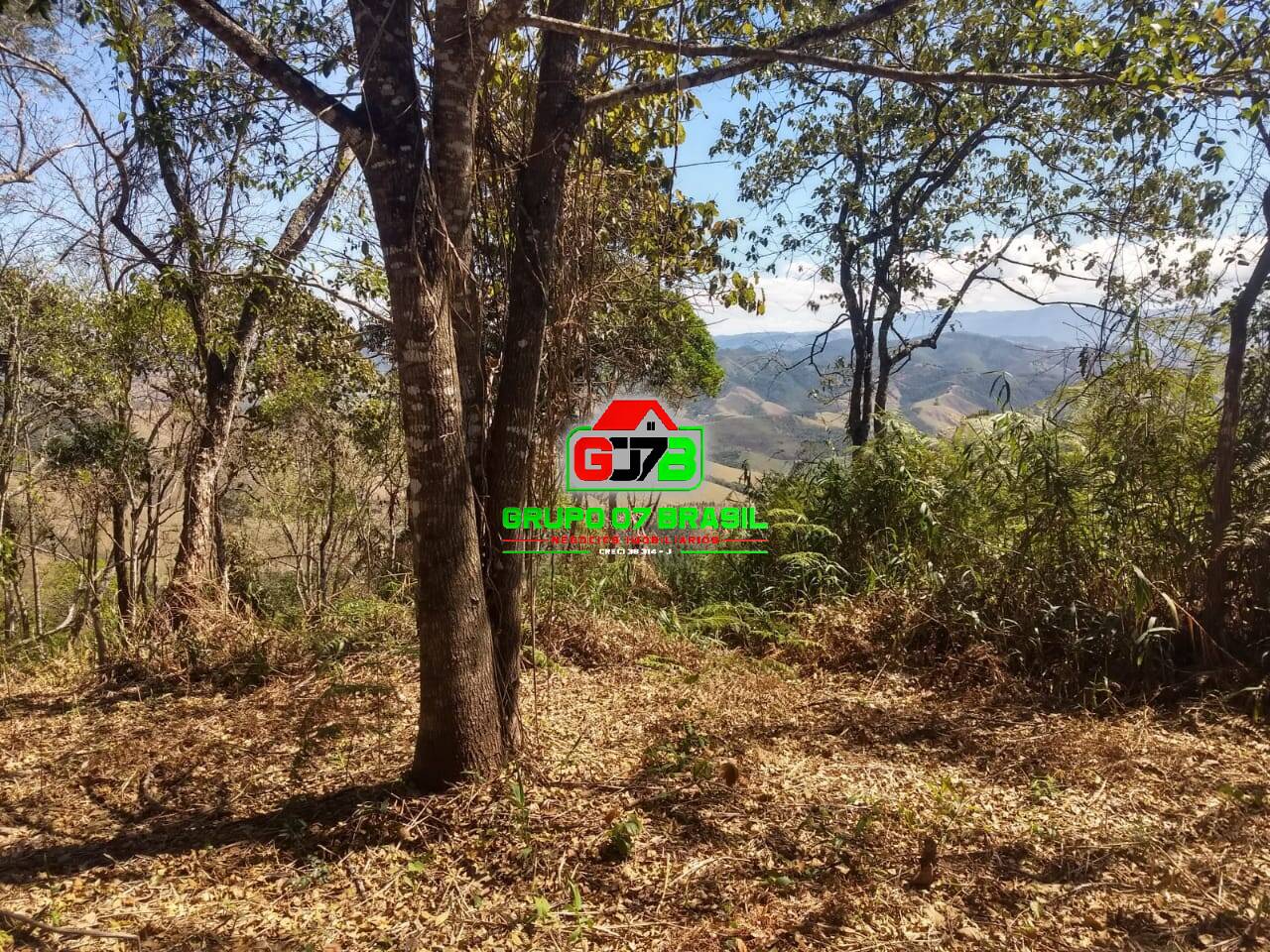 Terreno, 3 hectares - Foto 6