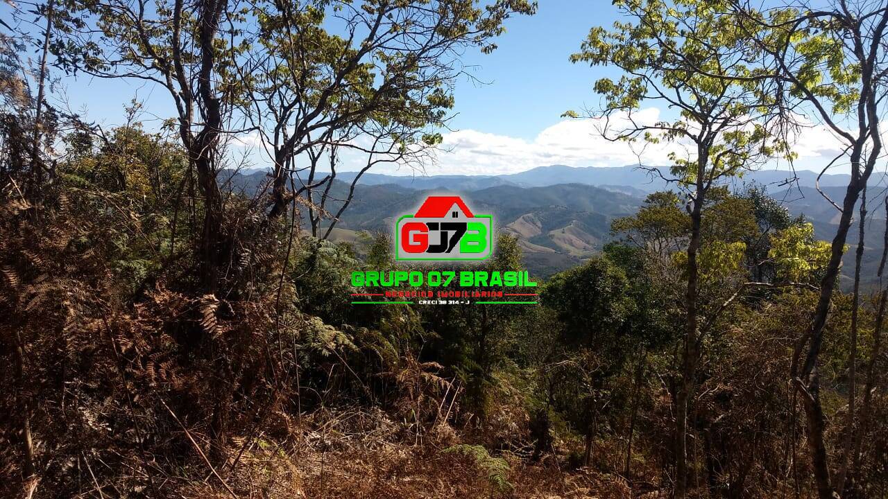 Terreno, 3 hectares - Foto 7