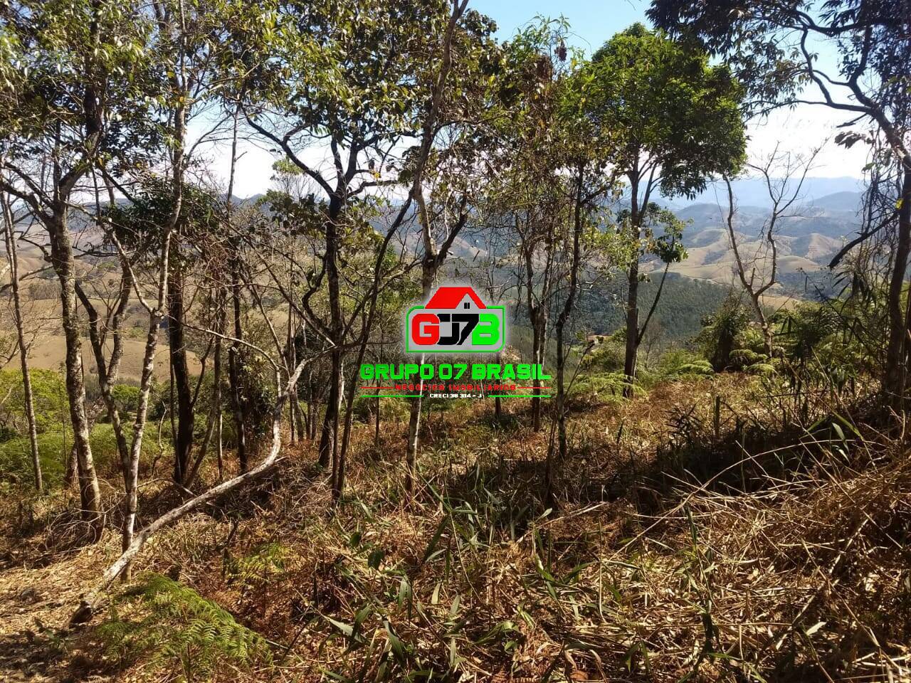 Terreno, 3 hectares - Foto 11