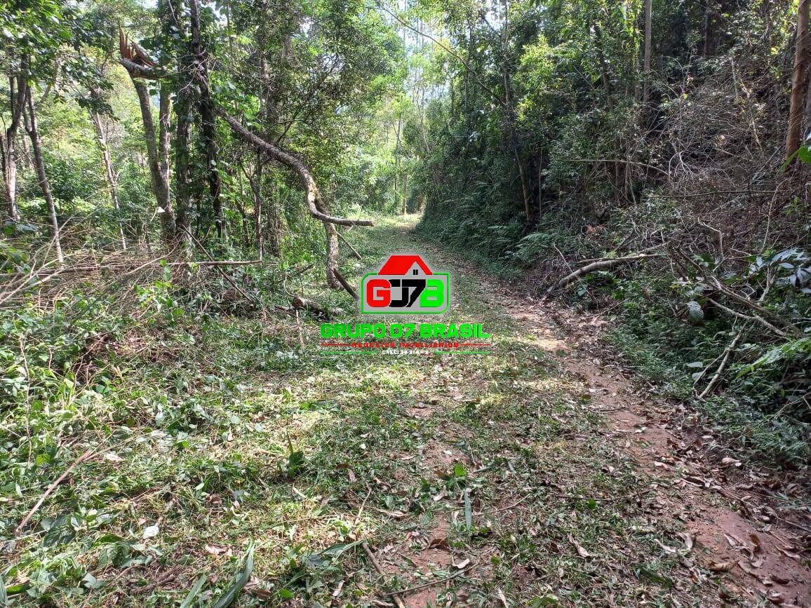 Terreno, 3 hectares - Foto 12