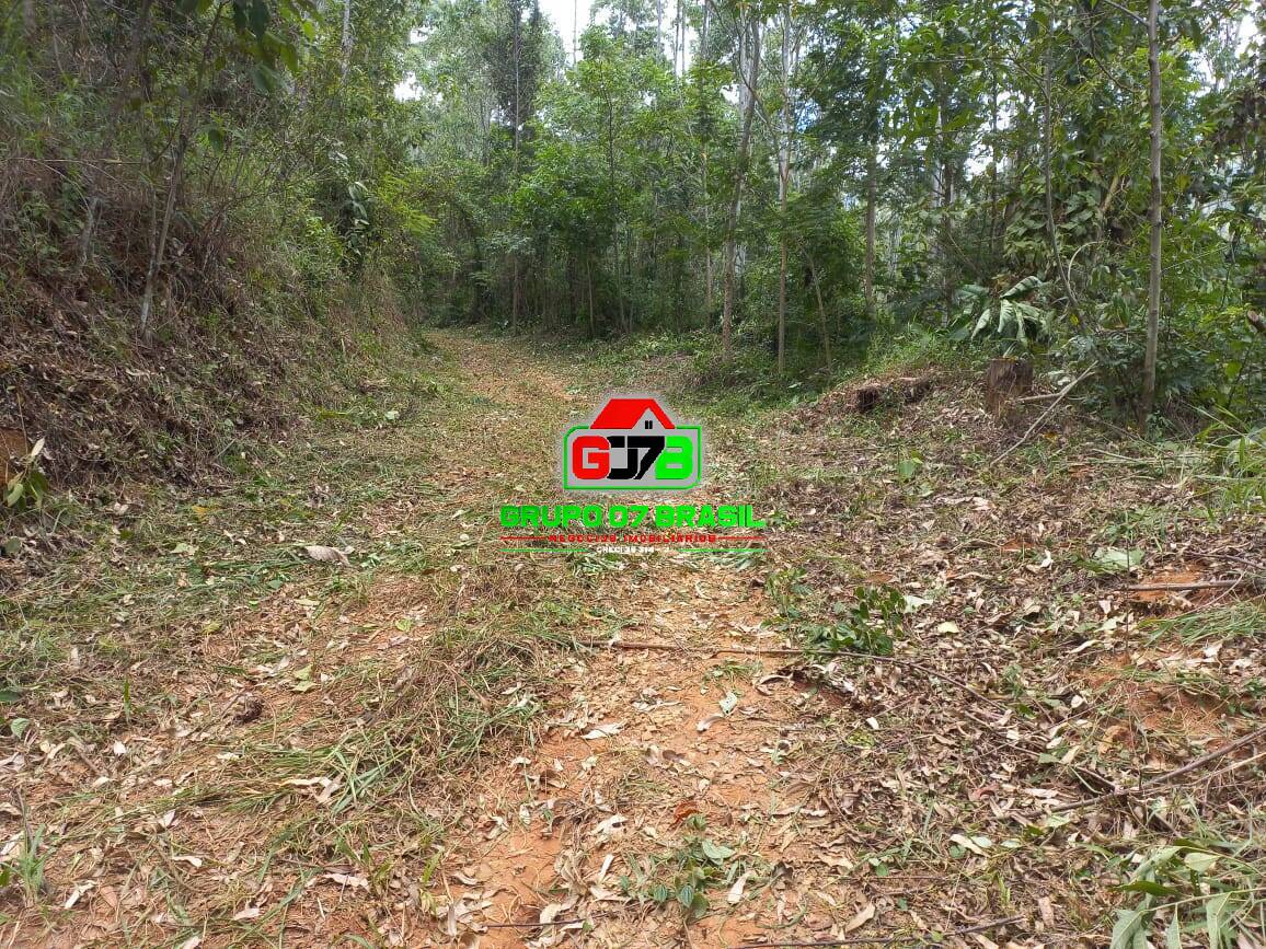 Terreno, 3 hectares - Foto 15