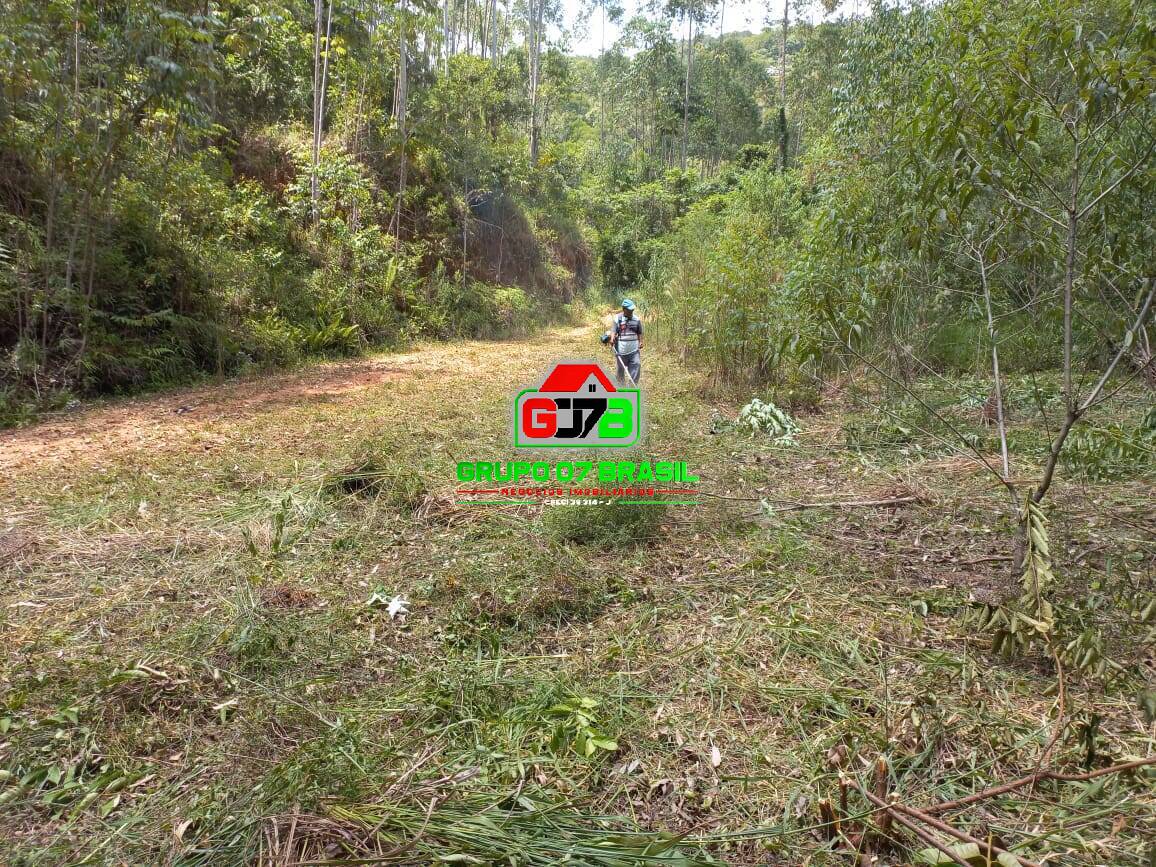 Terreno, 3 hectares - Foto 14