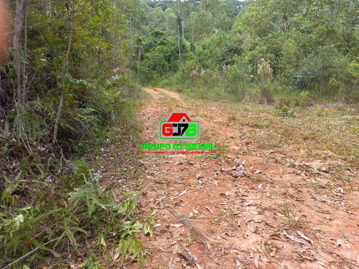 Terreno, 3 hectares - Foto 16