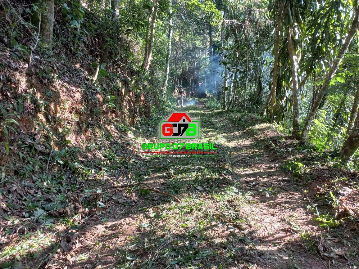 Terreno, 3 hectares - Foto 17