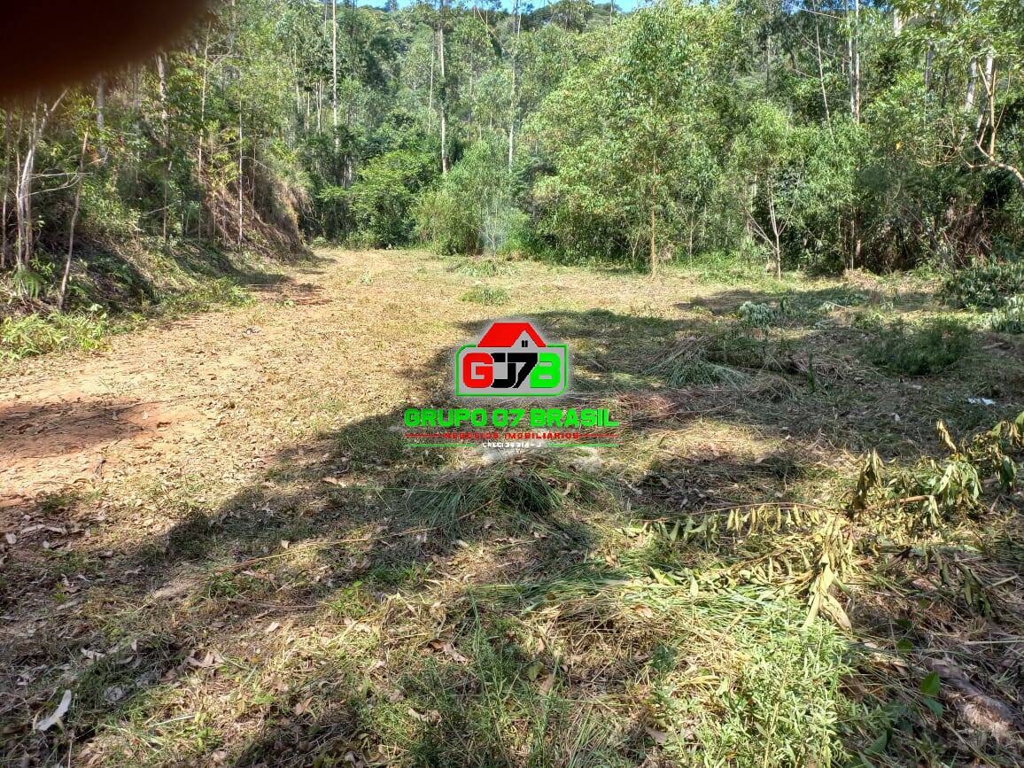 Terreno, 3 hectares - Foto 18