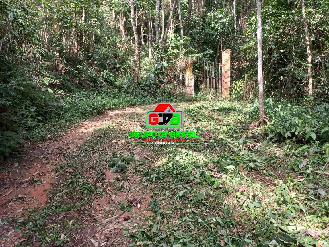 Terreno, 3 hectares - Foto 19