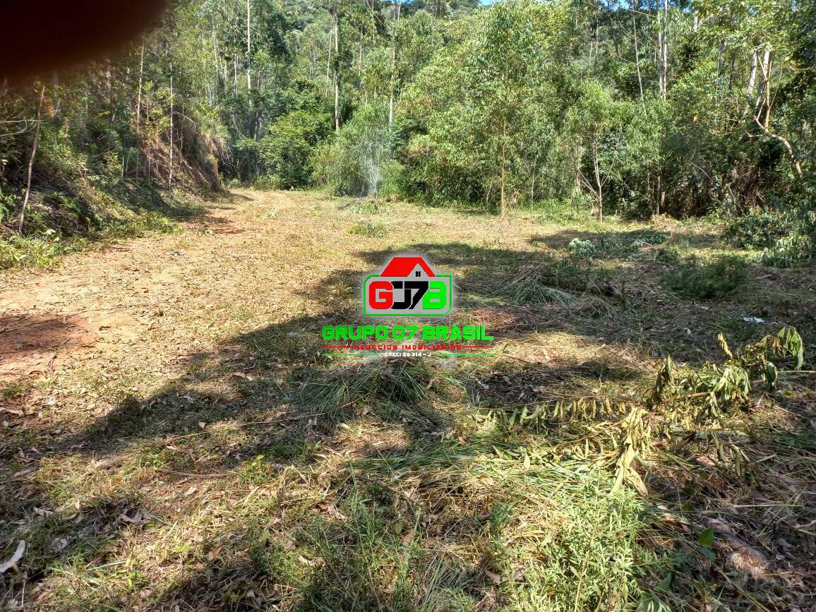 Terreno, 3 hectares - Foto 20