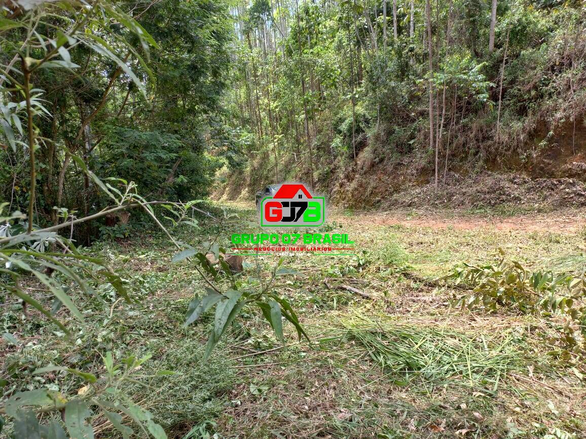 Terreno, 3 hectares - Foto 21