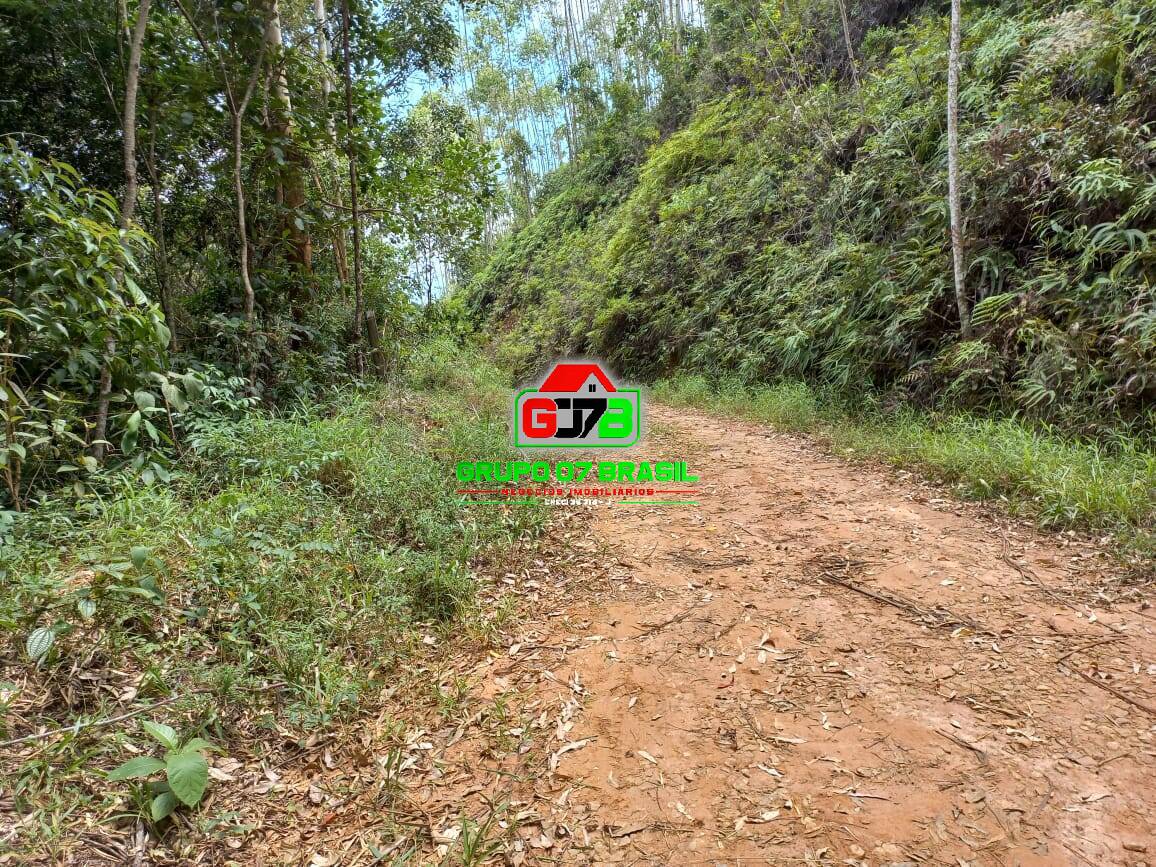 Terreno, 3 hectares - Foto 22