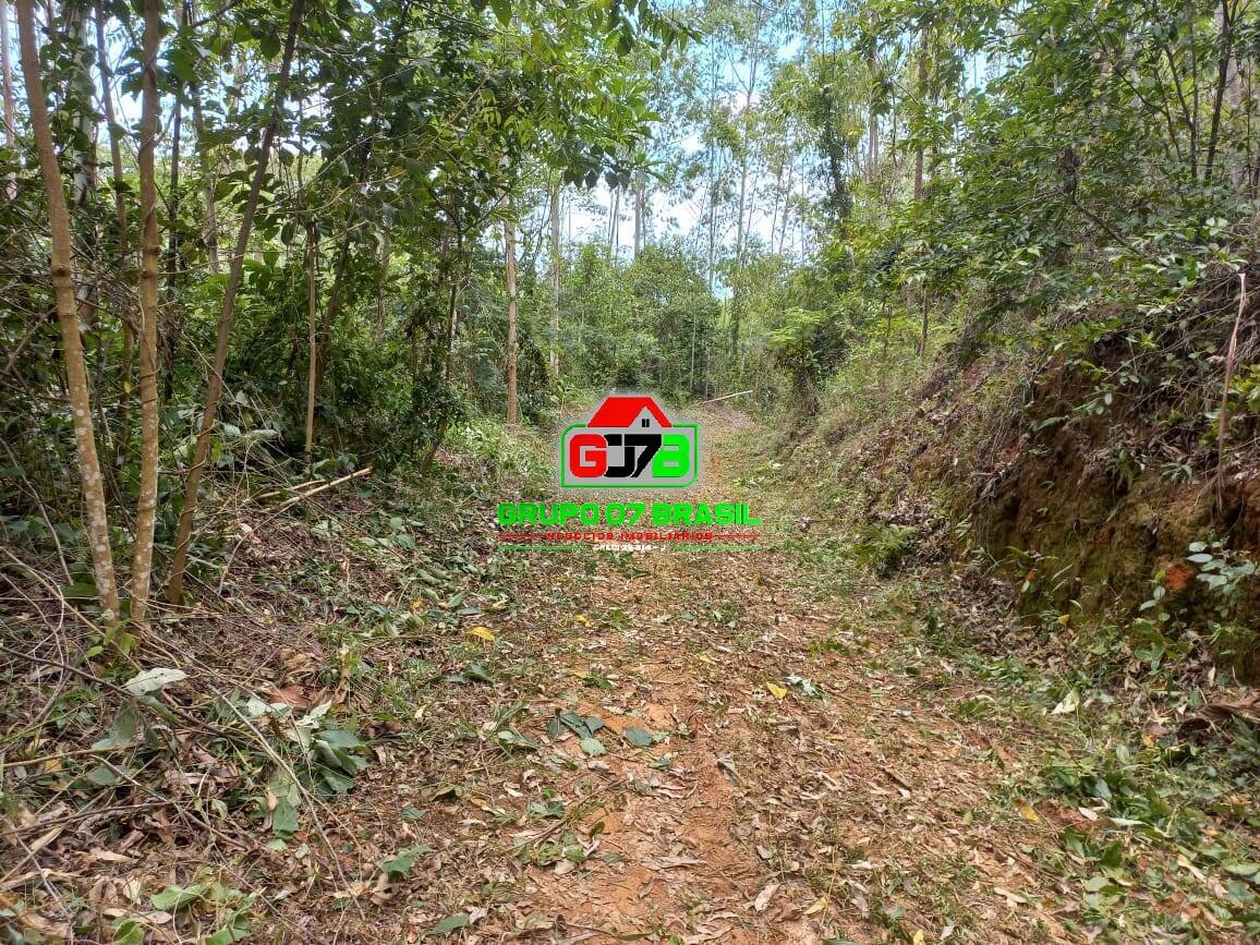 Terreno, 3 hectares - Foto 24