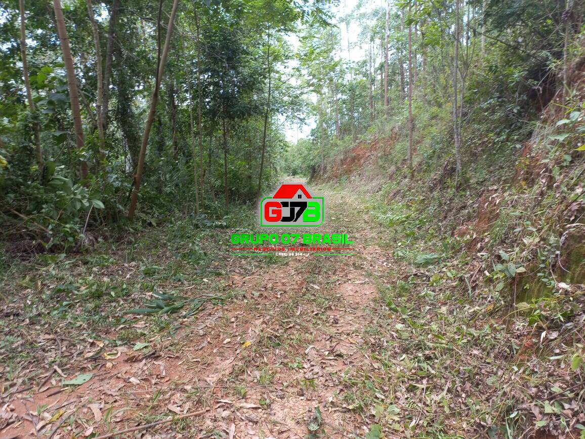 Terreno, 3 hectares - Foto 26