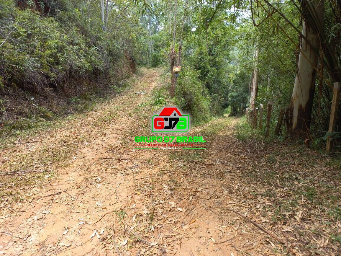 Terreno, 3 hectares - Foto 29