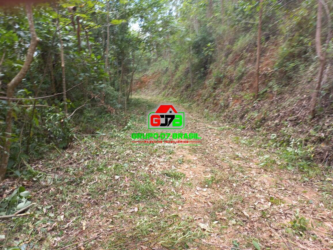 Terreno, 3 hectares - Foto 30