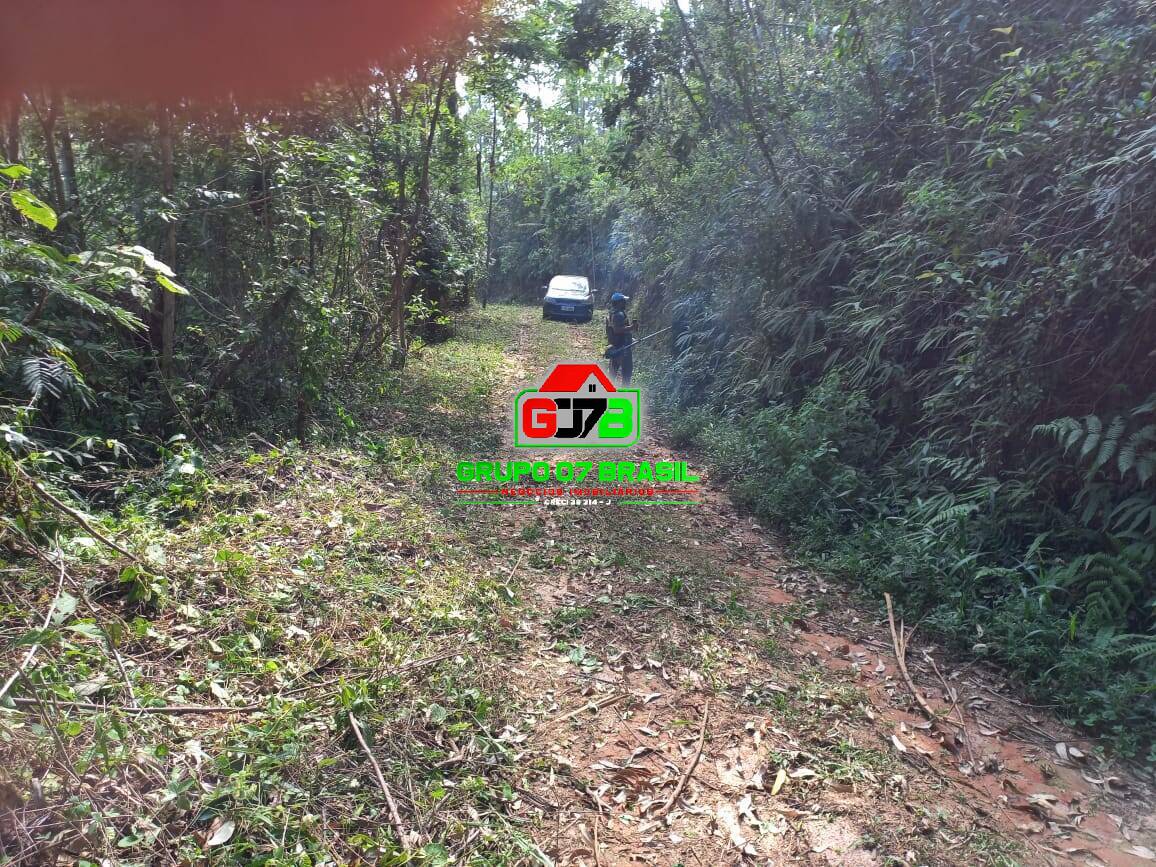 Terreno, 3 hectares - Foto 32