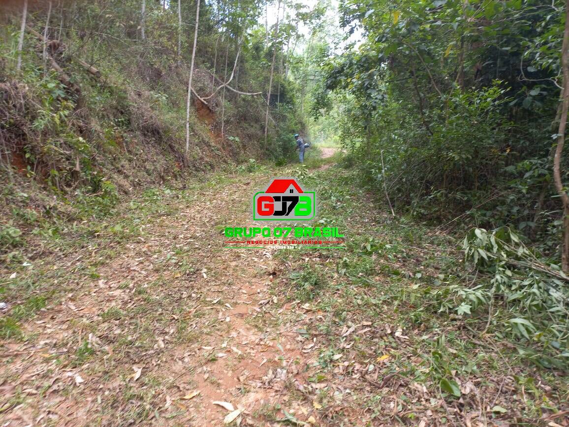 Terreno, 3 hectares - Foto 31