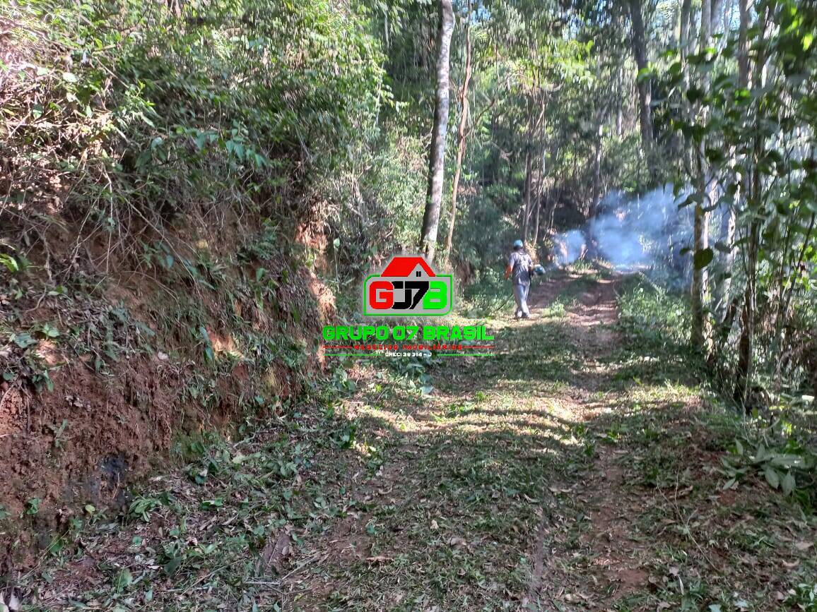 Terreno, 3 hectares - Foto 34