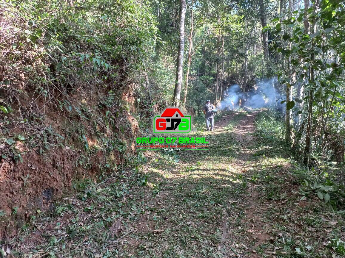 Terreno, 3 hectares - Foto 33