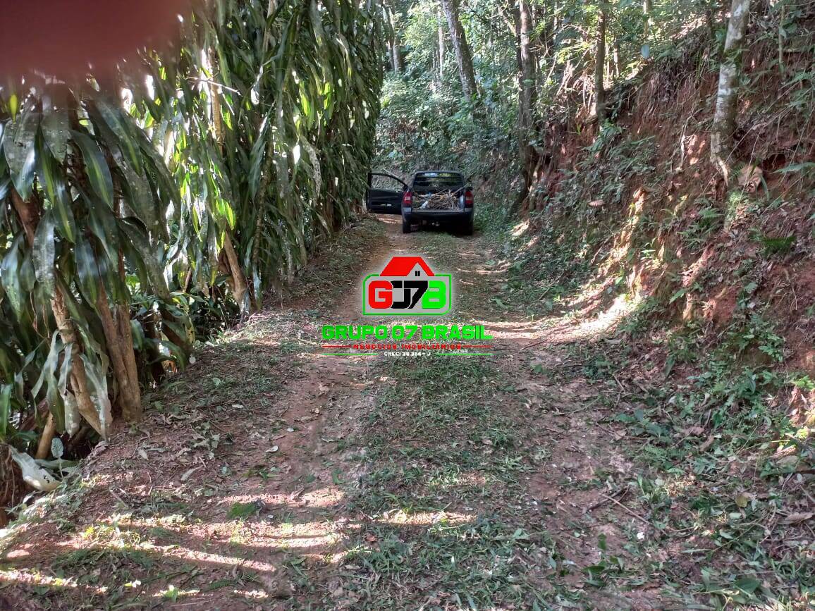 Terreno, 3 hectares - Foto 35