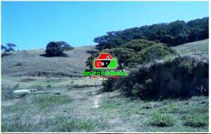 Fazenda, 180 m² - Foto 40