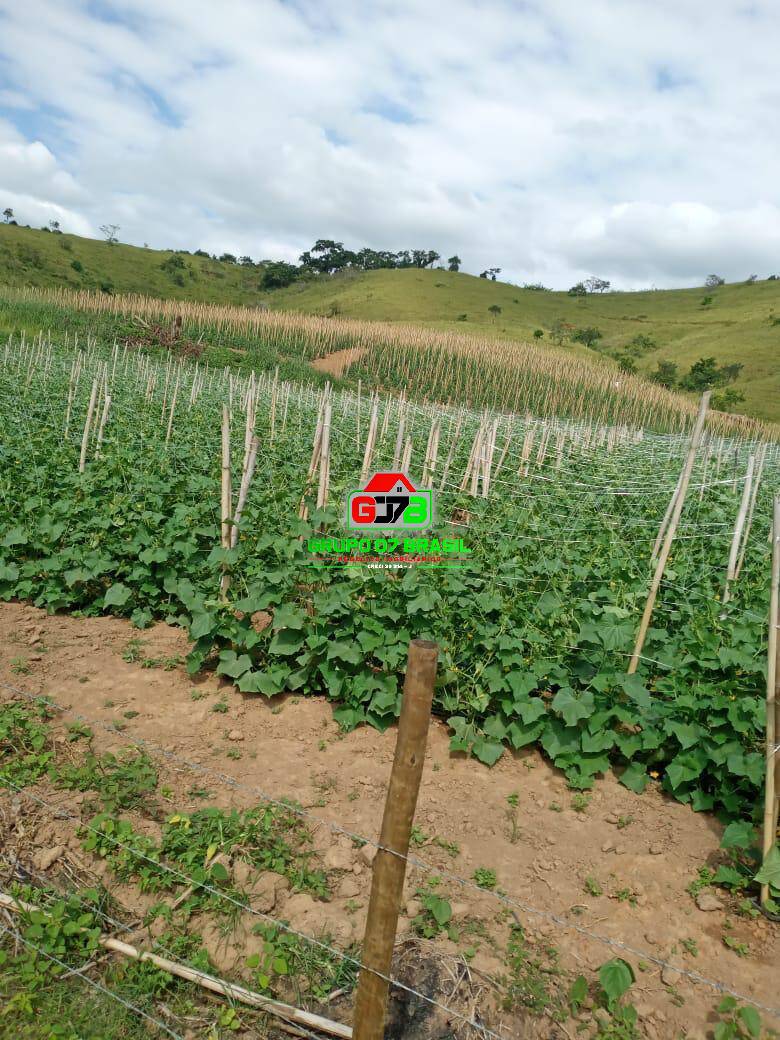 Fazenda, 180 m² - Foto 49