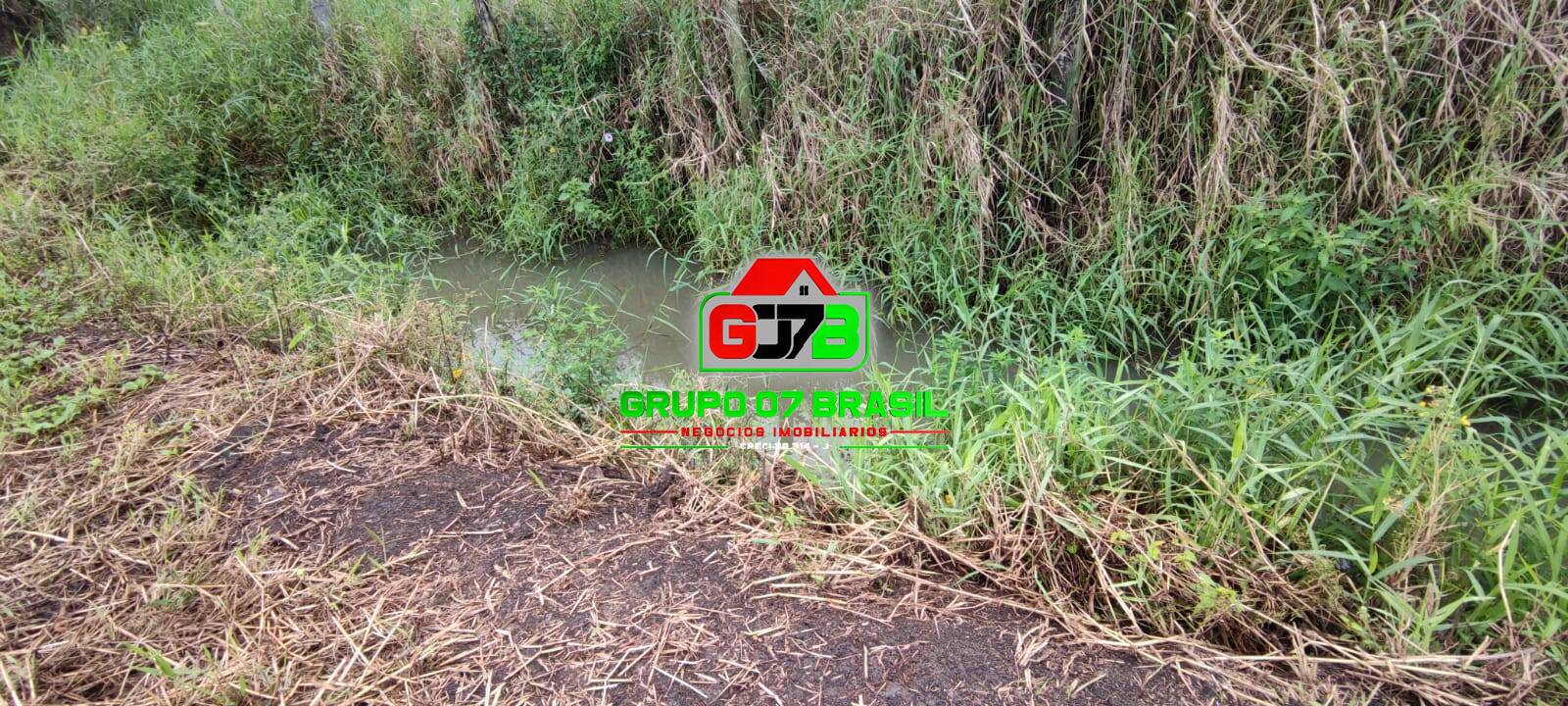 Terreno, 6 hectares - Foto 6
