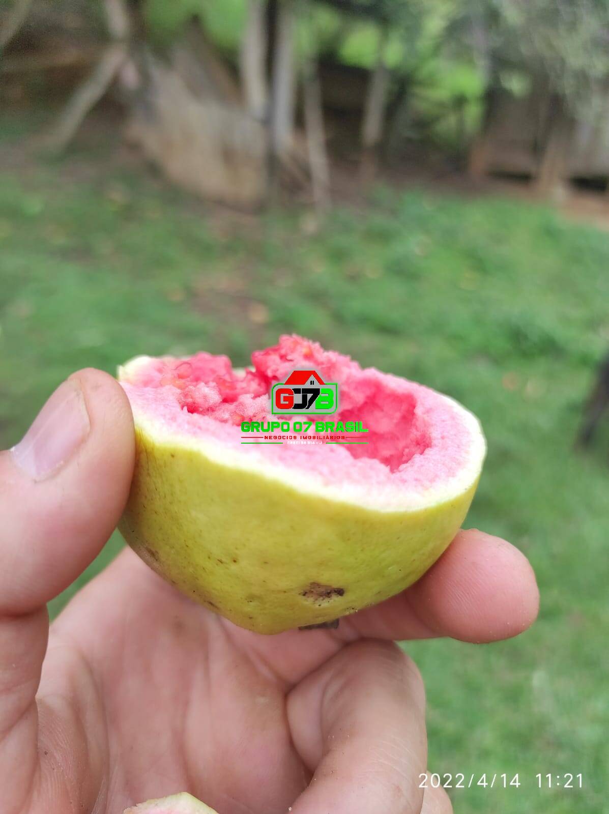 Terreno, 26 m² - Foto 6