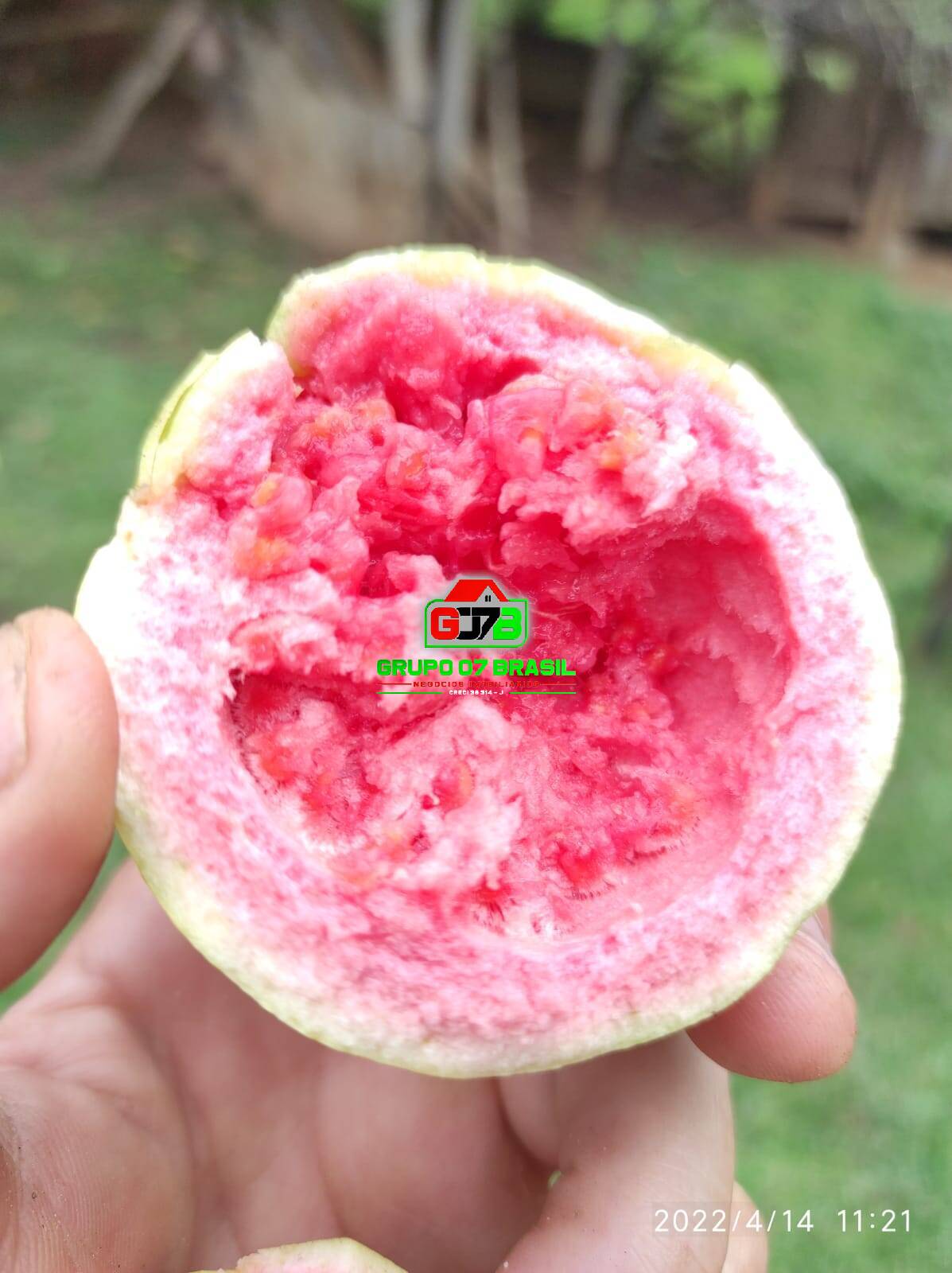 Terreno, 26 m² - Foto 61