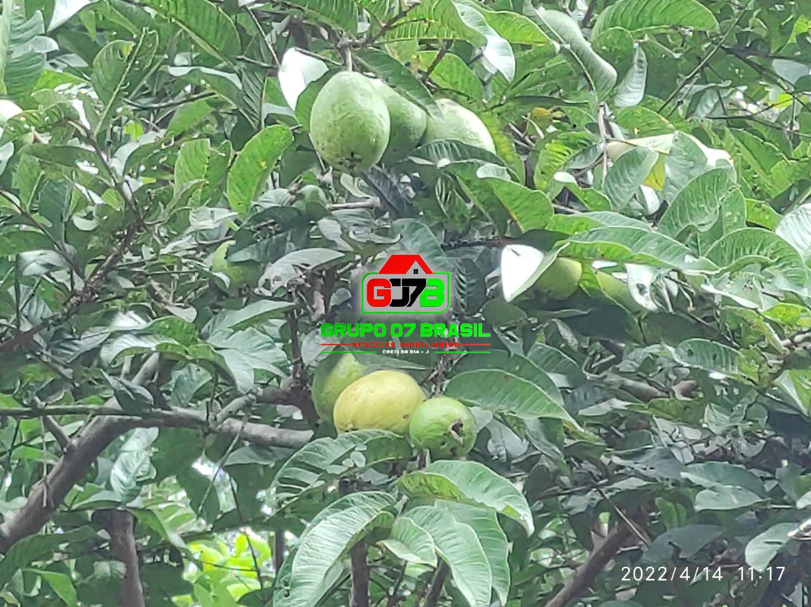 Terreno, 26 m² - Foto 5