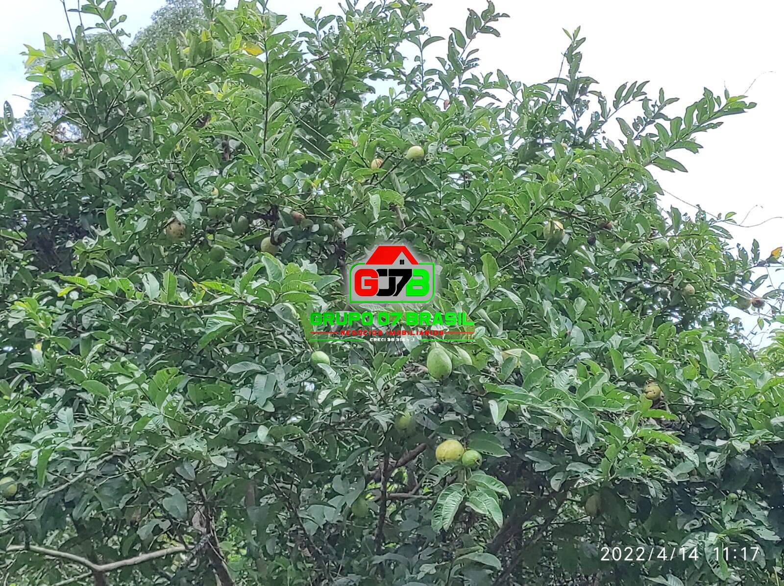 Terreno, 26 m² - Foto 64