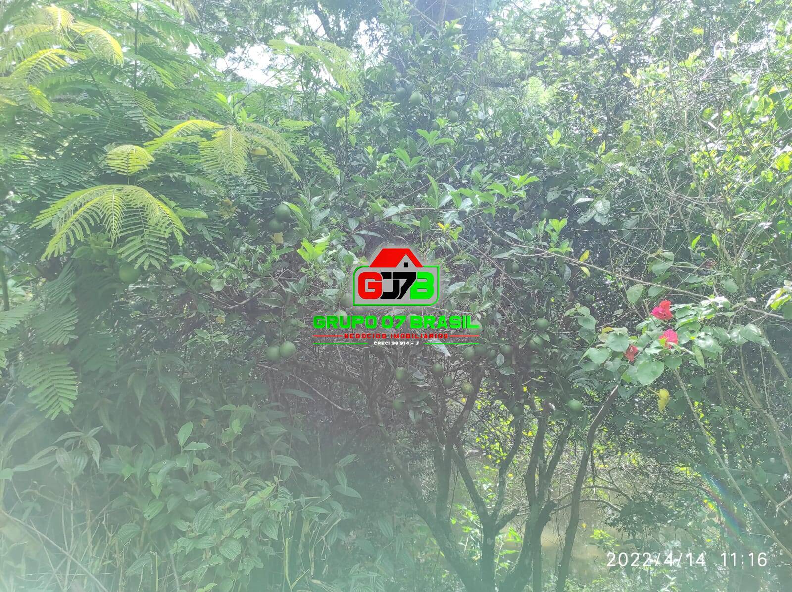 Terreno, 26 m² - Foto 65