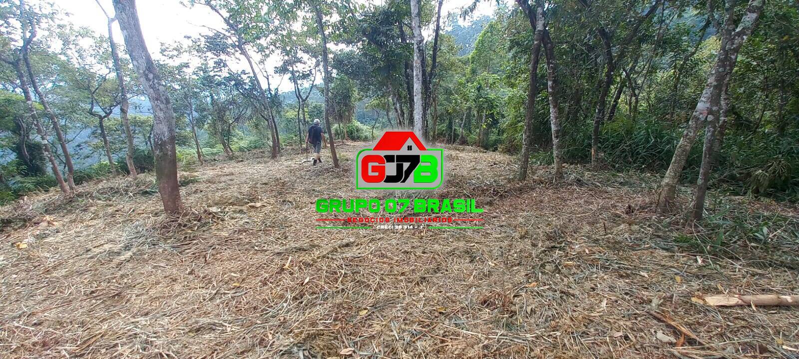 Terreno à venda, 30000m² - Foto 60