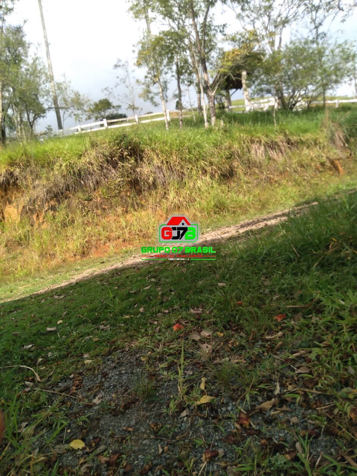 Terreno, 2 hectares - Foto 7