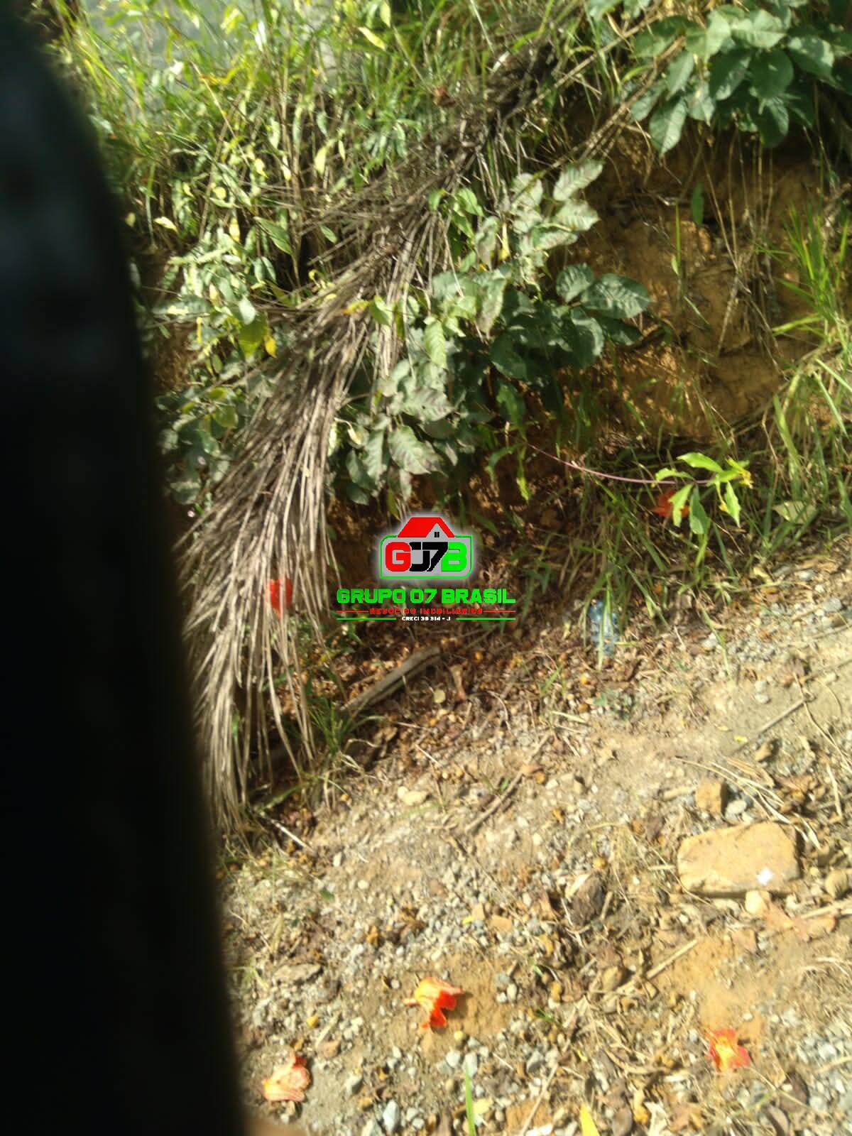 Terreno, 2 hectares - Foto 8