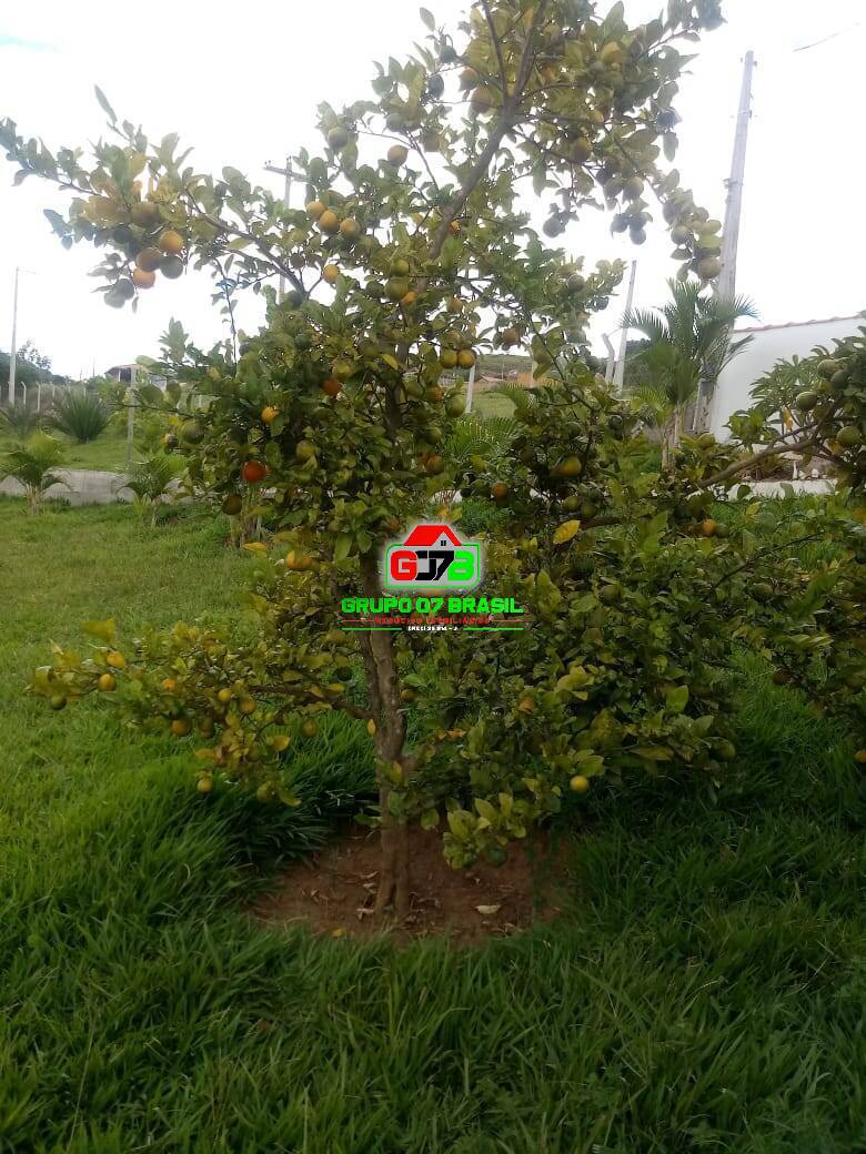 Sítio, 3 quartos, 7 hectares - Foto 10