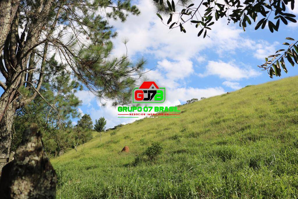 Chácara, 3 quartos, 2 hectares - Foto 2