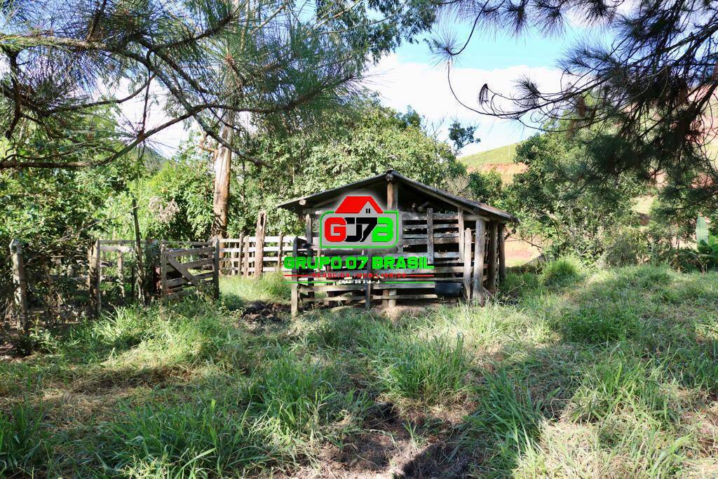 Chácara, 3 quartos, 2 hectares - Foto 7