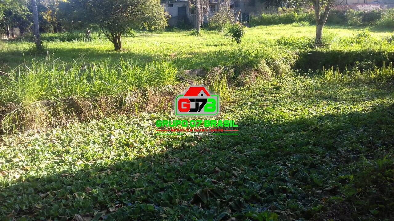Sítio à venda com 3 quartos, 8m² - Foto 6