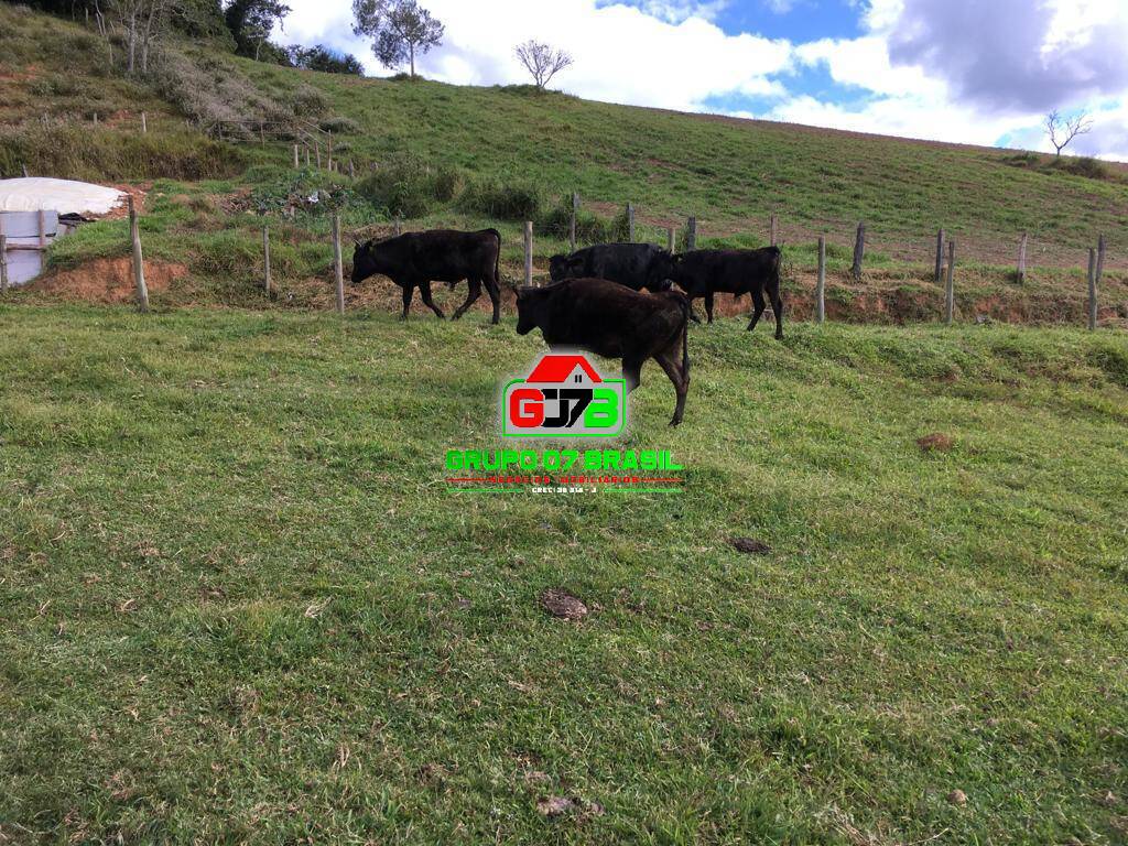 Terreno, 40 m² - Foto 5