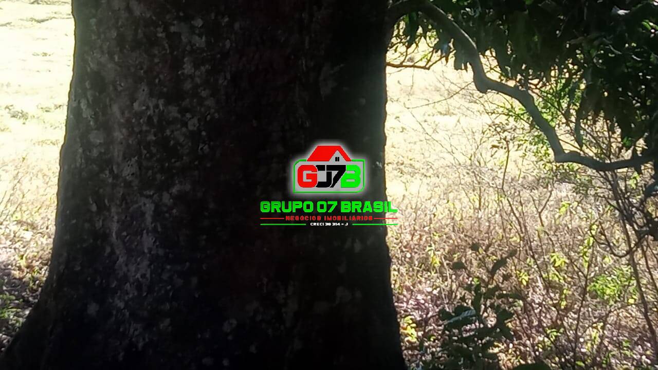 Terreno, 3 hectares - Foto 4