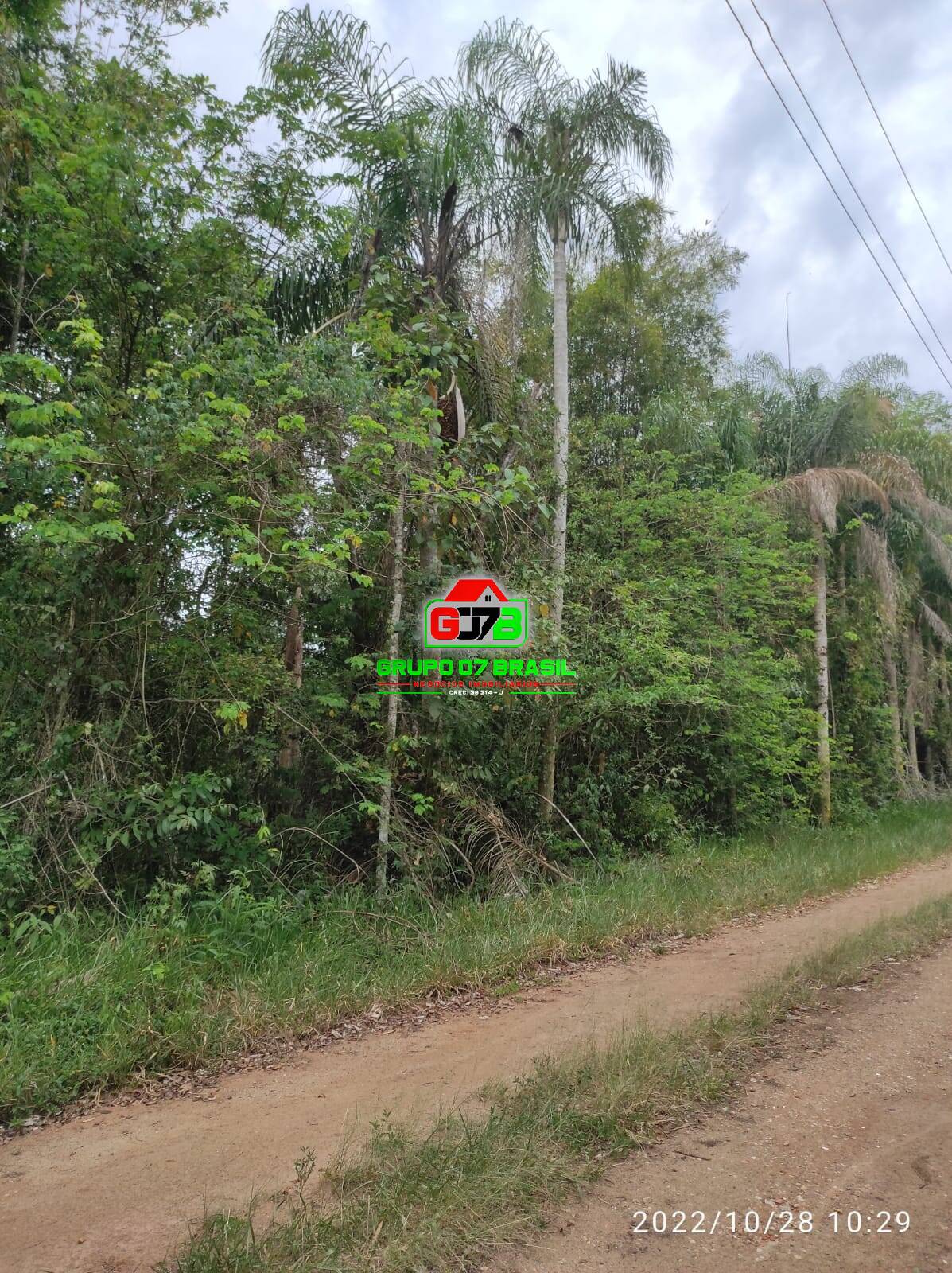 Terreno, 4 hectares - Foto 18