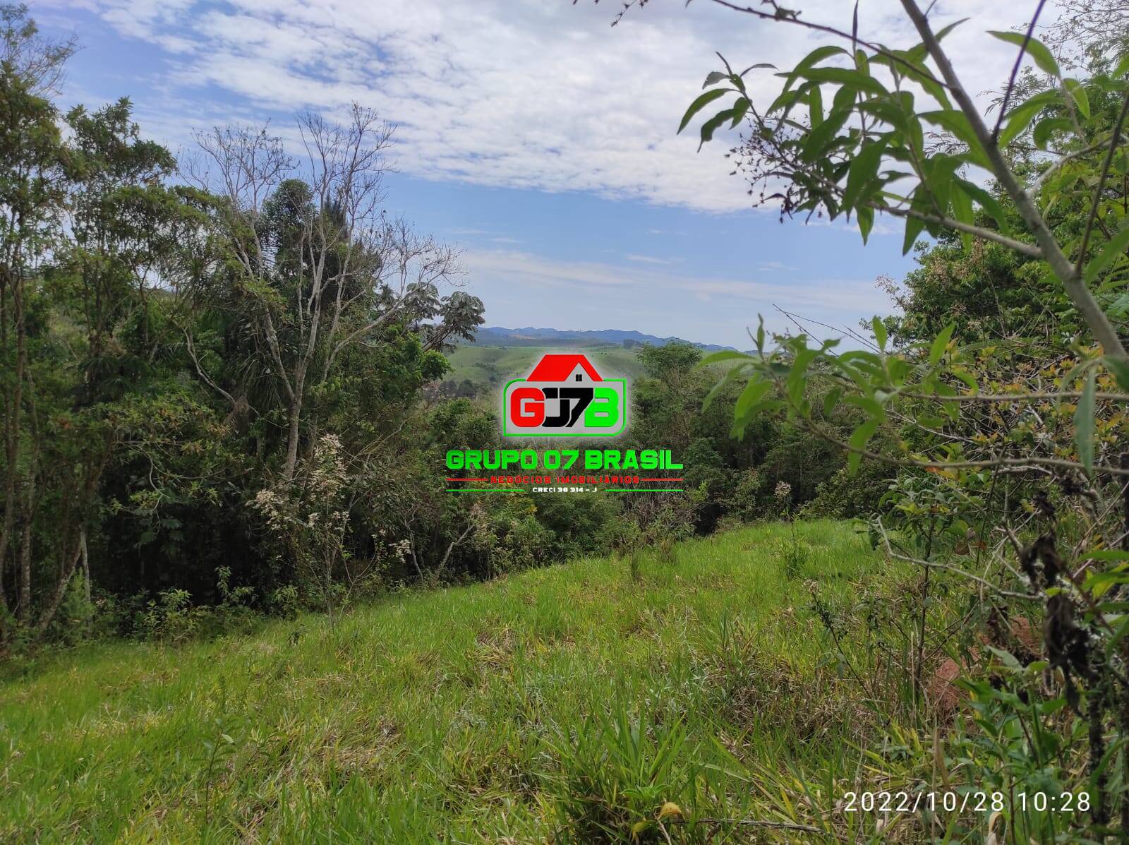 Terreno, 4 hectares - Foto 12